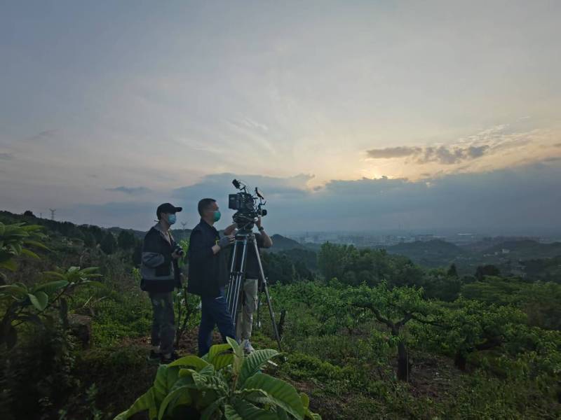 创意破圈！华阴市电商产品宣传视频用故事化叙事引爆流量